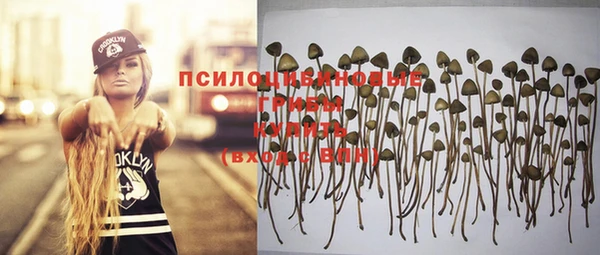 PSILOCYBIN Волоколамск