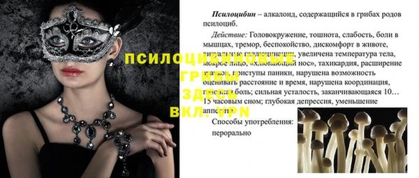 стафф Ладушкин