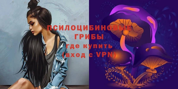 mdpv Лихославль