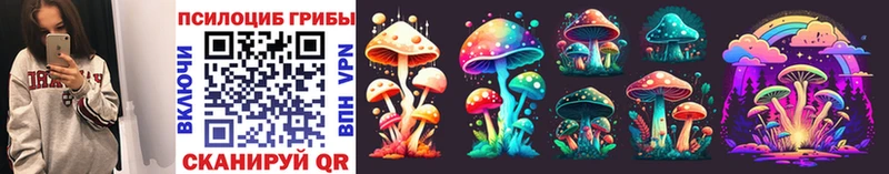 Галлюциногенные грибы Psilocybe  Новодвинск 