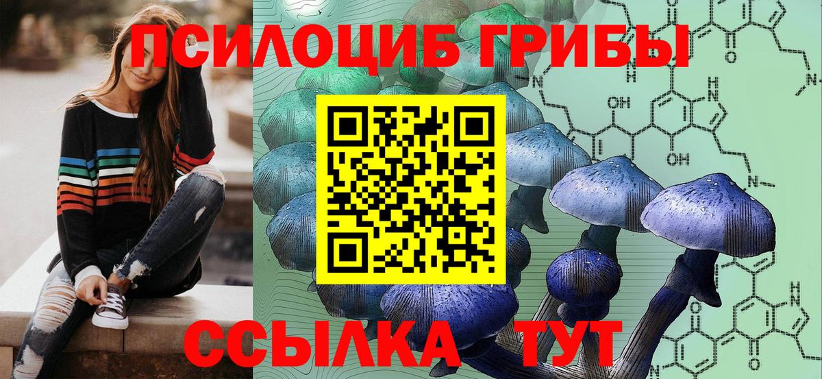 Галлюциногенные грибы MAGIC MUSHROOMS  наркота  Новодвинск  Галлюциногенные грибы MAGIC MUSHROOMS  Вход с VPN 